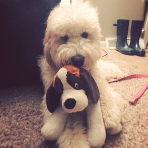 Meet your Posher, Nikki